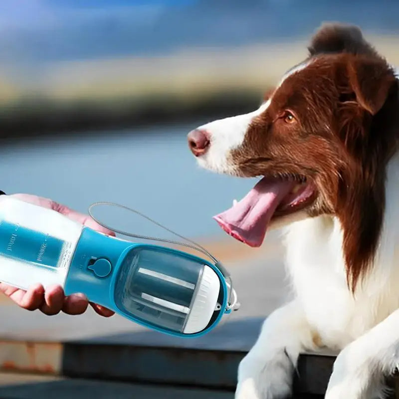 Dog Water, Food ,Garbage Bag Three-in-one